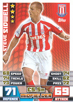 Steve Sidwell Stoke City 2014/15 Topps Match Attax #263